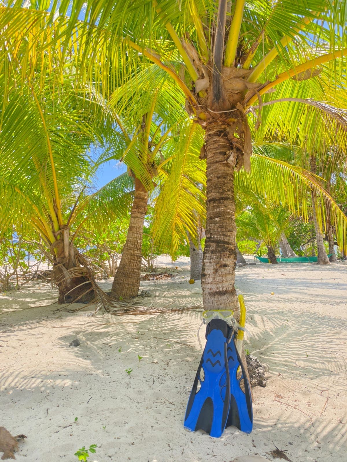 El Nido vs Coron: Which Should You Choose?